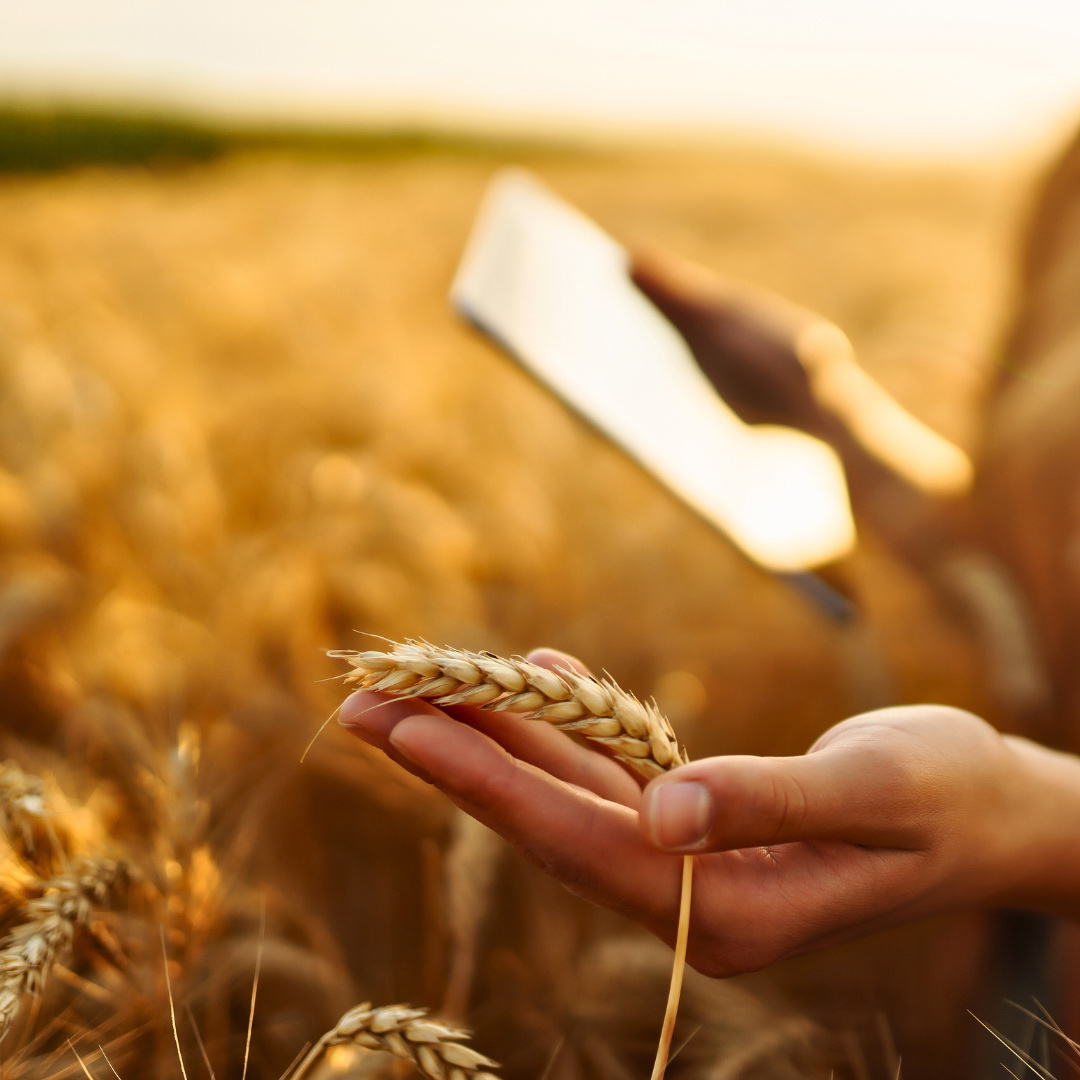 profitable farming platform development