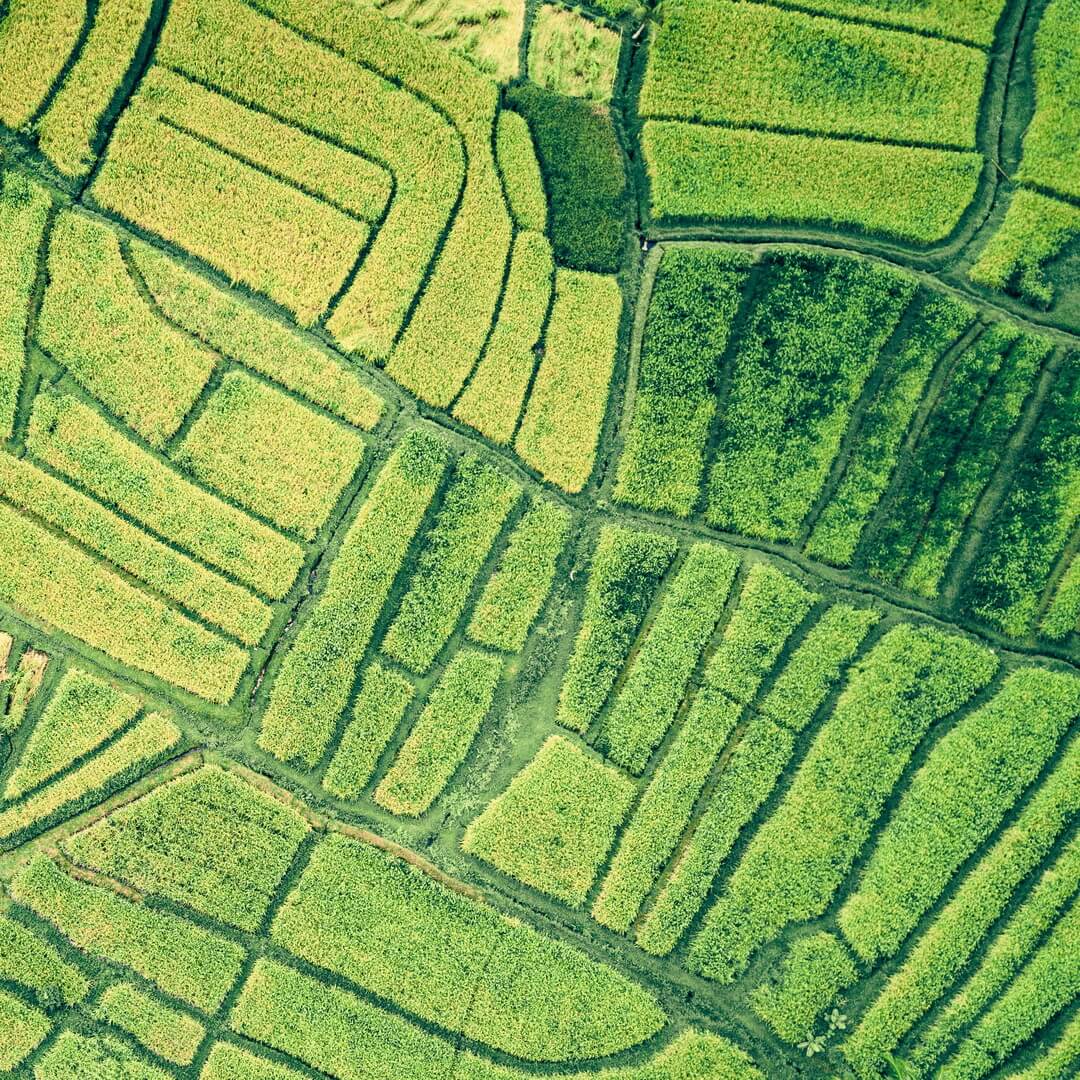 smart and sustainable agriculture platform nutrition